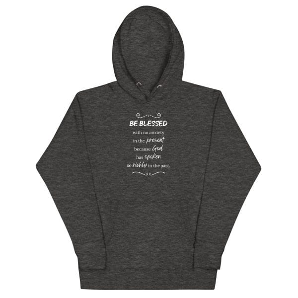 unisex-premium-hoodie-charcoal-heather-front-670932d49eaef.jpg unisex-premium-hoodie-charcoal-heather-front-670932d49eaef.jpg