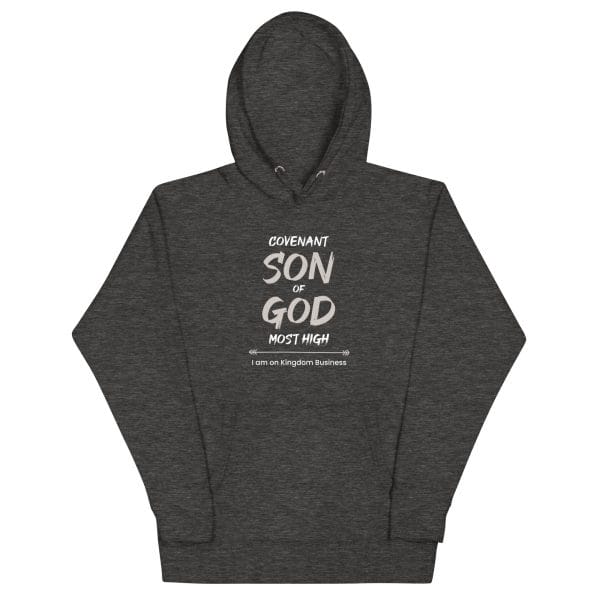 unisex-premium-hoodie-charcoal-heather-front-670955e3cc6f9.jpg unisex-premium-hoodie-charcoal-heather-front-670955e3cc6f9.jpg