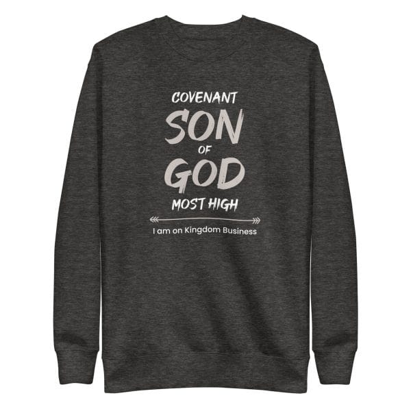unisex-premium-sweatshirt-charcoal-heather-front-6709563221c4d.jpg unisex-premium-sweatshirt-charcoal-heather-front-6709563221c4d.jpg