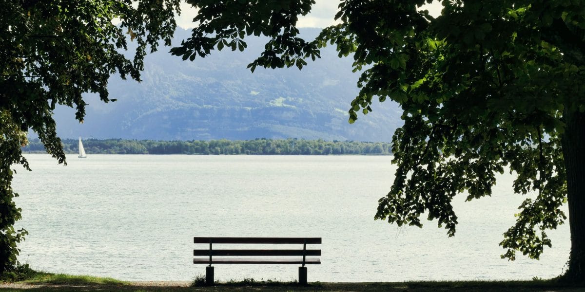 Tranquil scene of an empty bench overlooking Bodensee with a distant sailboat under leafy trees.