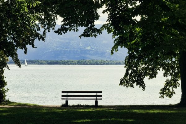 Tranquil scene of an empty bench overlooking Bodensee with a distant sailboat under leafy trees.