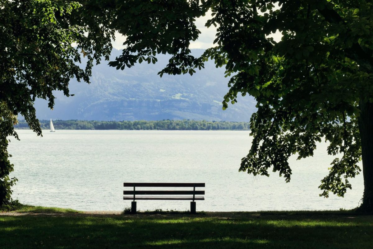 Tranquil scene of an empty bench overlooking Bodensee with a distant sailboat under leafy trees.