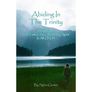 Abiding in The Trinity