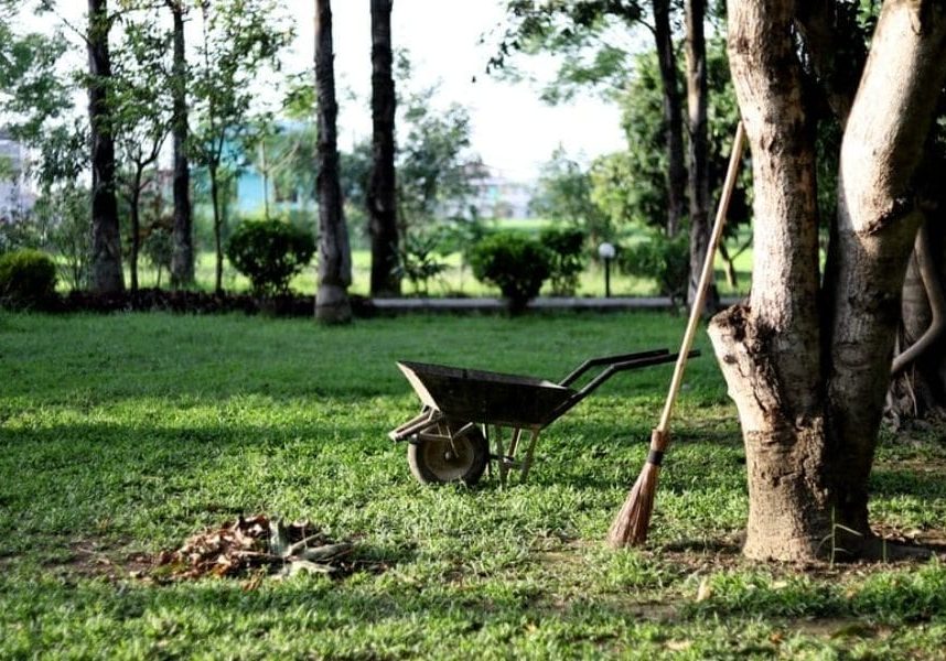 An empty wheelbarrow and a rake on a lush green lawn with trees in the background.