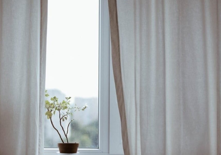 A potted plant sits on a windowsill between open curtains with daylight streaming in.