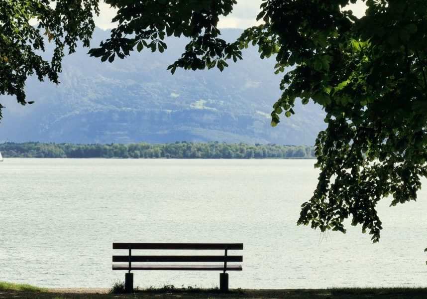 Tranquil scene of an empty bench overlooking Bodensee with a distant sailboat under leafy trees.