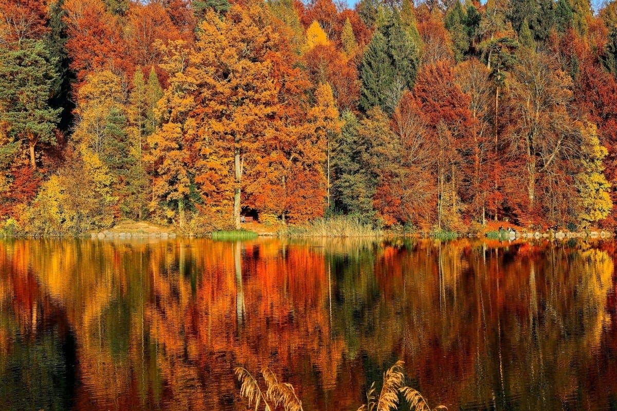 fall