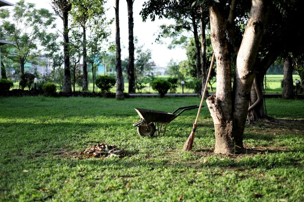 An empty wheelbarrow and a rake on a lush green lawn with trees in the background.