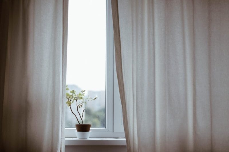 A potted plant sits on a windowsill between open curtains with daylight streaming in.