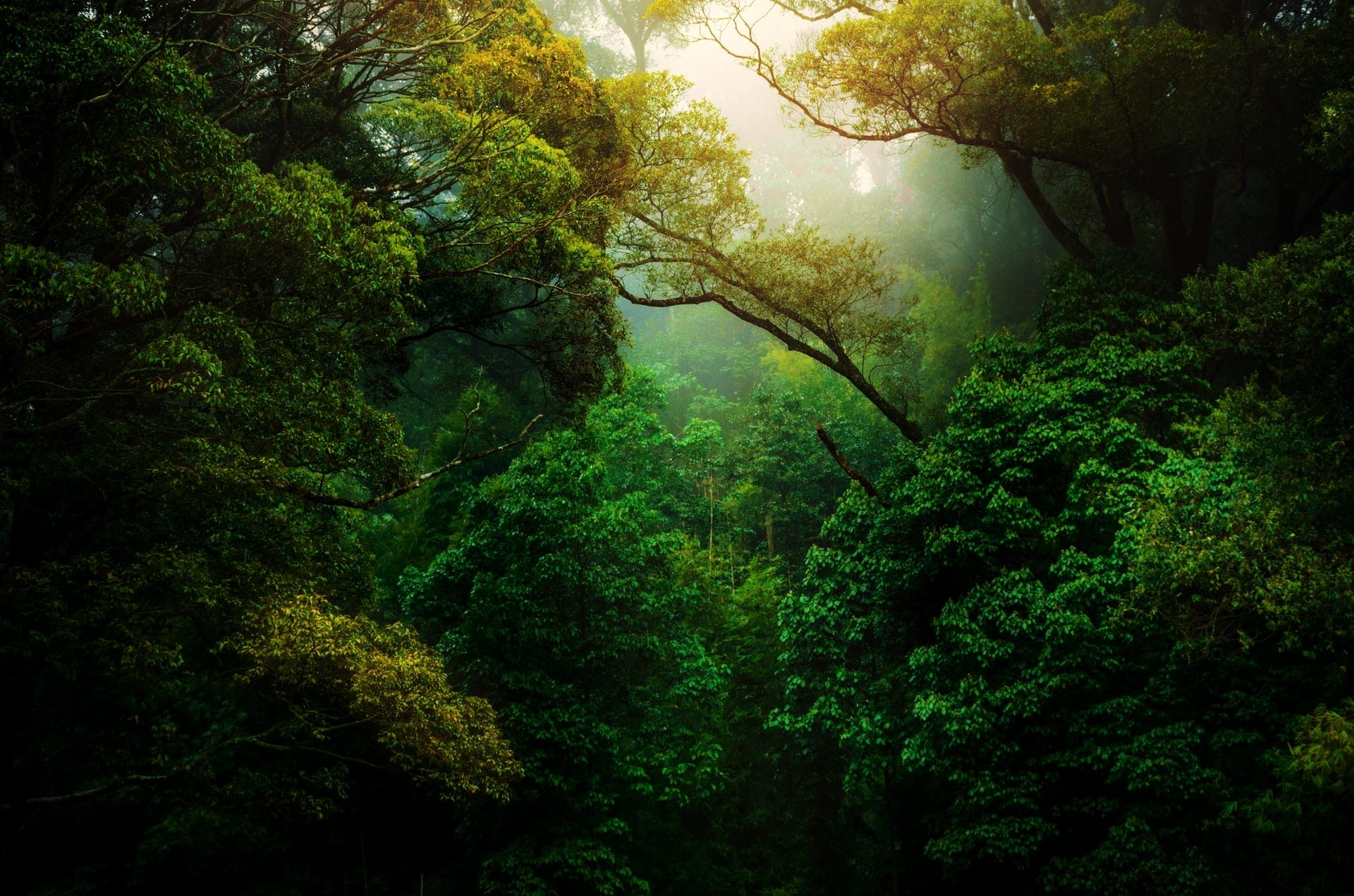 kunal shinde f0YLss50Bs unsplash