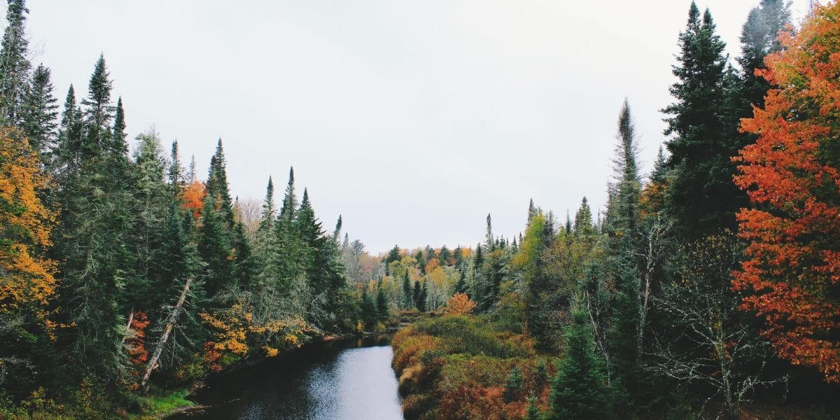 noah silliman y3IwQ9hUE4A unsplash