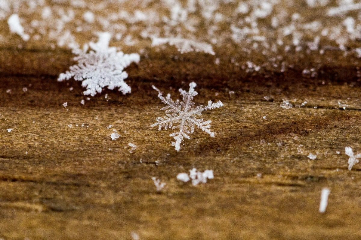snowflakes