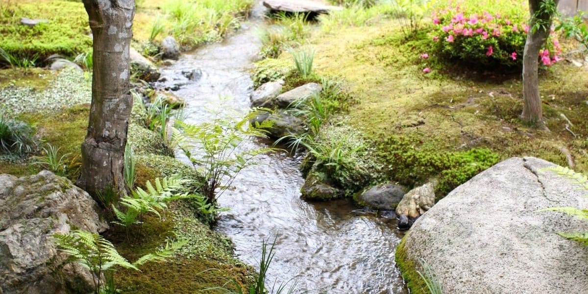 stream