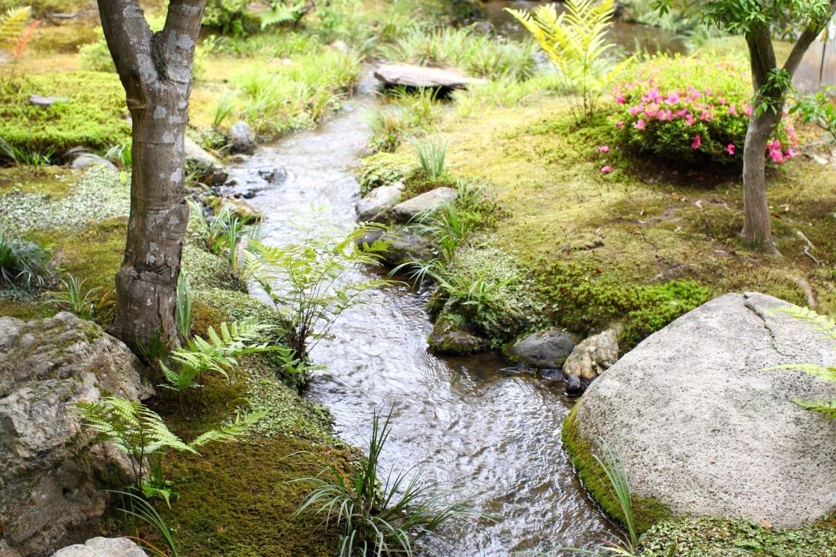 stream